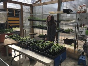 From March Madness to April Fools